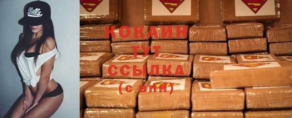 стаф Арсеньев