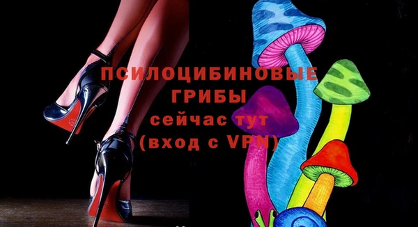 дмт Армянск