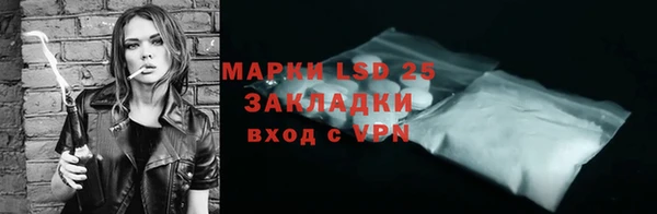 стаф Арсеньев