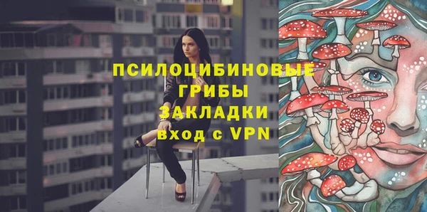 дмт Армянск